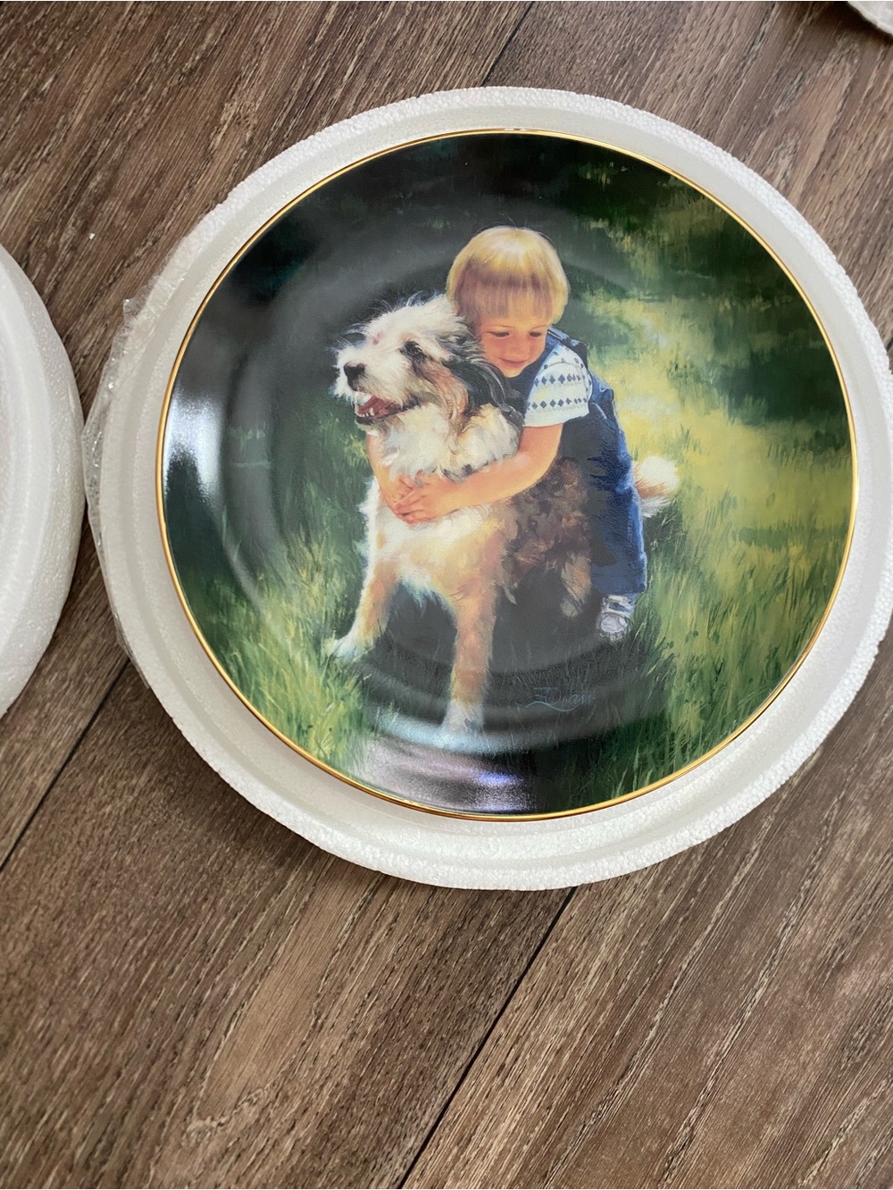 Decorative Collectible Plate with Boy and Dog Illustration - Backyard Buddies